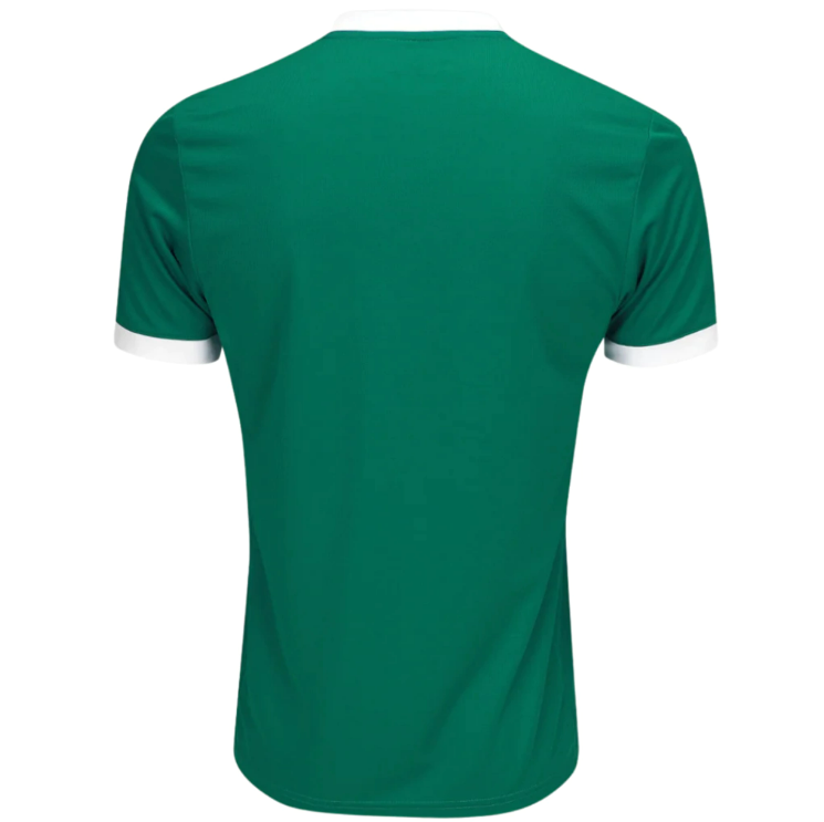 Camisa Palmeiras Puma Verde Masculina Temporada 25/26